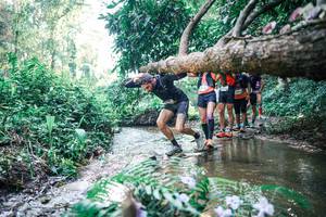 BIB: 
                            <button type="button" onclick="openModal(25446002)" class="btn btn-primary btn-sm float-right btn-popup" data-toggle="modal" data-target=".modal-high-quality">
                        <i class="fas fa-shopping-cart"></i> Add to Cart
                    </button>
                                            <button type="button" onclick="isThisMe(25446002, true)" class="btn btn-success btn-sm float-right btn-popup btn-isme hidden" data-toggle="tooltip" data-placement="bottom" title="นี่คือรูปของคุณใช่ไหม คลิกที่นี่เพื่อเอาเข้าอัลบั้ม">
                        <i class="fas fa-plus"></i> Add to album
                    </button>
                    <button type="button" onclick="isThisMe(25446002, false)" class="btn btn-warning btn-sm float-right btn-popup btn-isnotme hidden">
                        <i class="fas fa-ban"></i> Remove from album
                    </button>